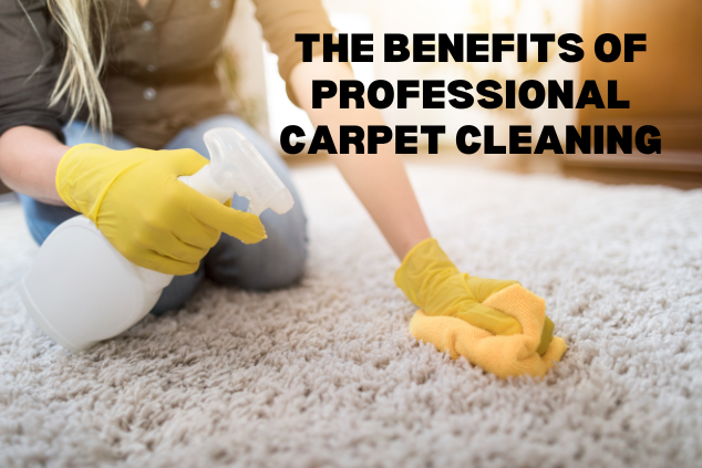 The Benefits of Professional Carpet Cleaning in Adelaide